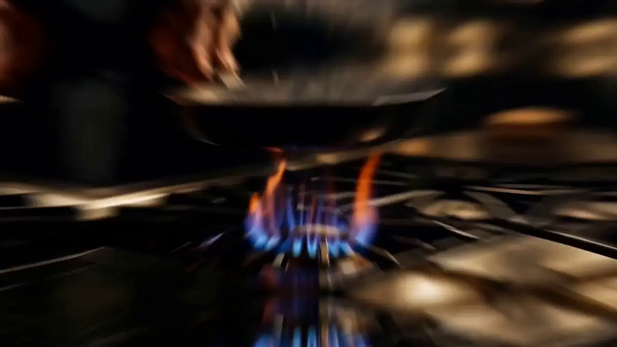 Seedance 2.0 video preview showing cinematic cooking film scene
