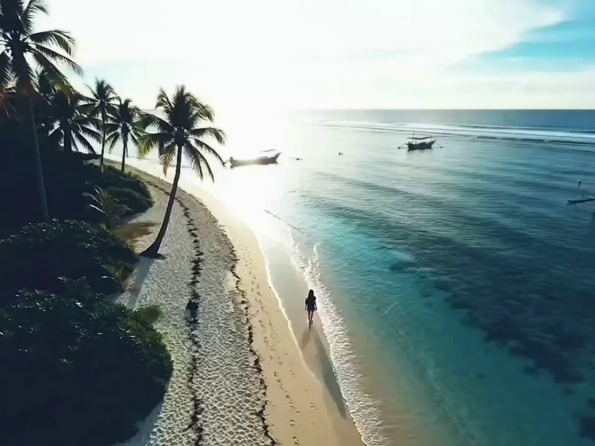 Seedance 2.0 video preview showing tropical beach travel vlog