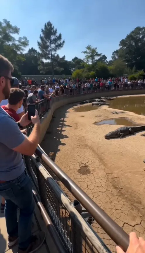 Seedance 2.0 video preview showing viral smartphone zoo rescue scene